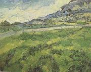 Green Wheat Field (nn04) Vincent Van Gogh